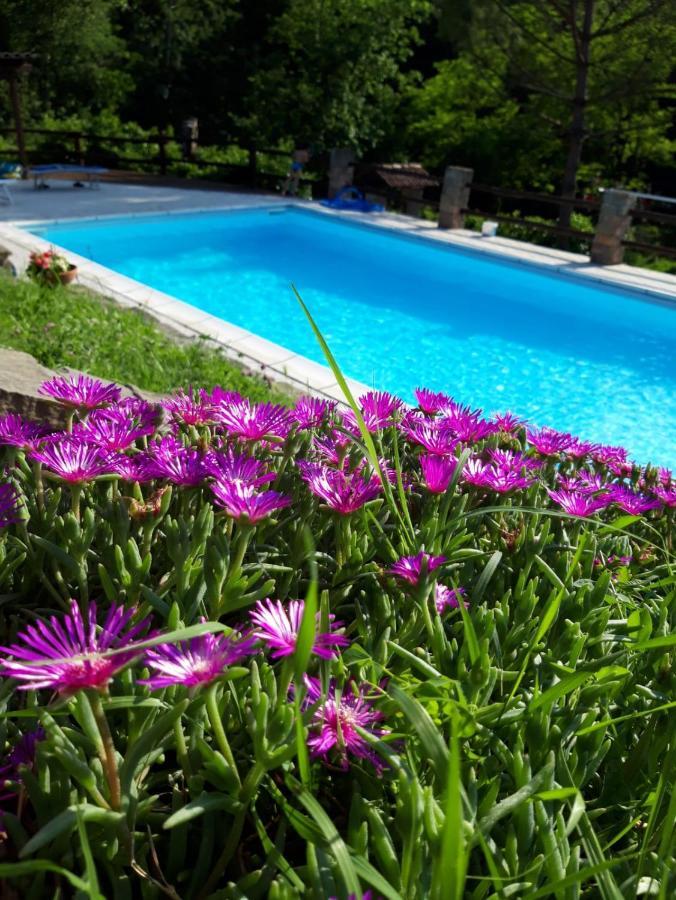 La Lacia Acqui Terme Esterno foto